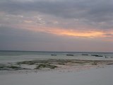   : Zanzibar 2011